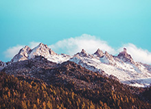 NBA赛事-我市水上项目迎来首位冠军教练|赛艇|吴强|市业余水上运动学校|水上运动|世界杯_新浪体育_新浪新闻